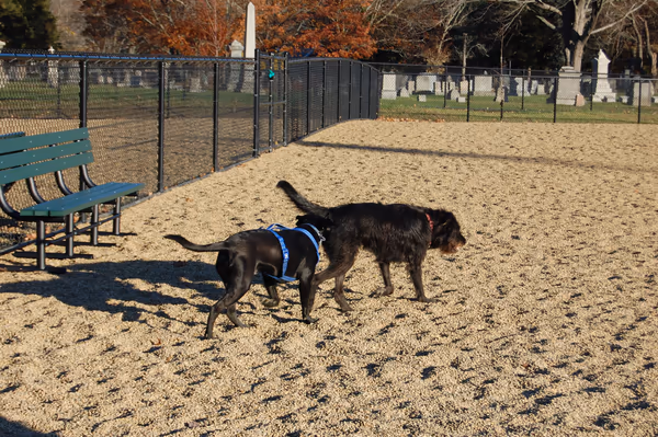Dog Park at Pine Road Park